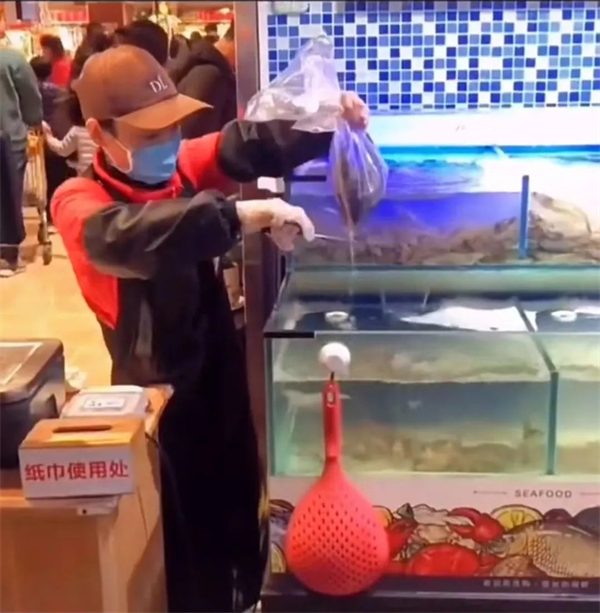 1656407523835821.jpg 11 - 640?wx_fmt=jpeg.jpg